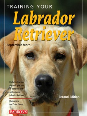 cover image of Training Your Labrador Retriever